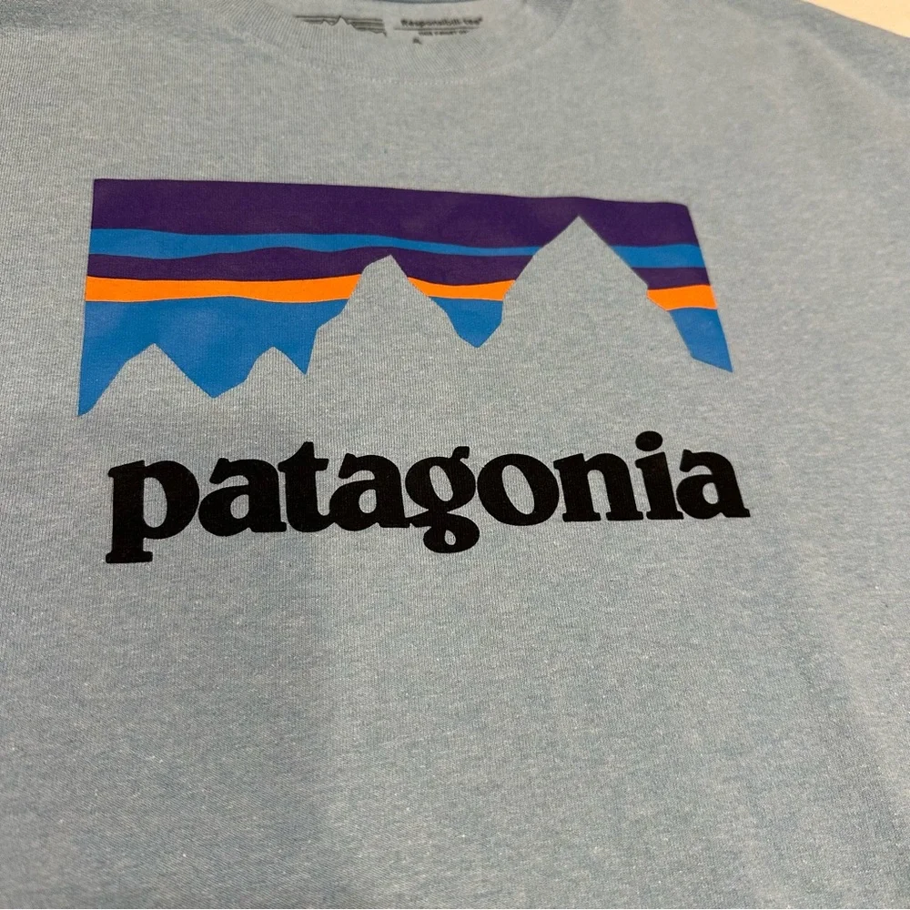 Patagonia Men's‎ Medium Light Blue Mountain Tee
